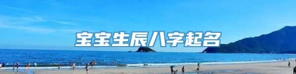 宝宝生辰八字起名