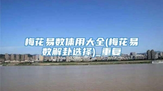 梅花易数体用大全(梅花易数解卦选择)_重复