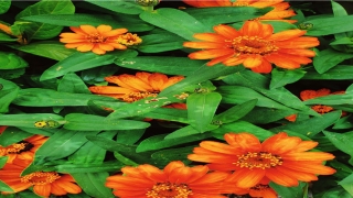 八字财多的男人命运怎么样(八字财星怎么看)