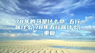 78年的马是什么命 五行属什么(78年五行属什么)_重复
