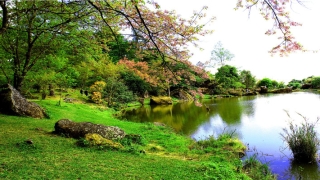 梦到结婚是什么意思(梦见结婚解梦)