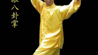 易经里面的四象是指哪四象(揭示太极两仪四象八卦的真正含义)