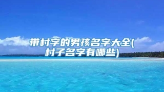 带村字的男孩名字大全(村子名字有哪些)