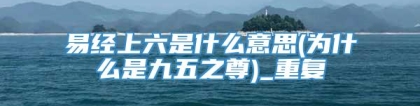 易经上六是什么意思(为什么是九五之尊)_重复