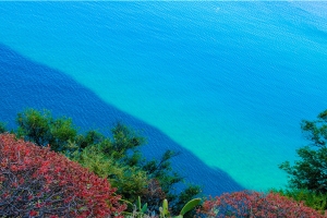 测一生有几段婚姻(看钻石婚老夫妻的爱情测试)