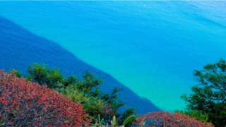 测一生有几段婚姻(看钻石婚老夫妻的爱情测试)