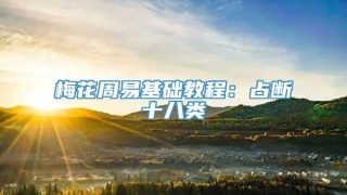 梅花周易基础教程:占断十八类