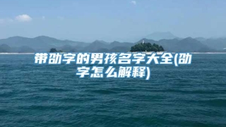 带劭字的男孩名字大全(劭字怎么解释)