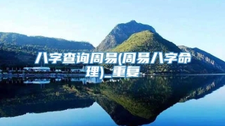 八字查询周易(周易八字命理)_重复