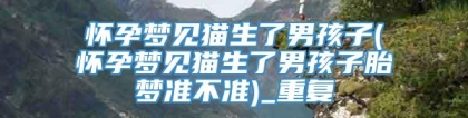 怀孕梦见猫生了男孩子(怀孕梦见猫生了男孩子胎梦准不准)_重复