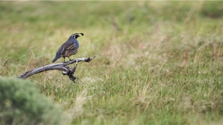 带水字旁的男孩名字大全(男孩带水字寓意好的字)