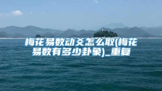 梅花易数动爻怎么取(梅花易数有多少卦象)_重复