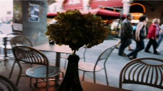 男女脸上的痣图解大全(你身上有凸起的黑痣吗)