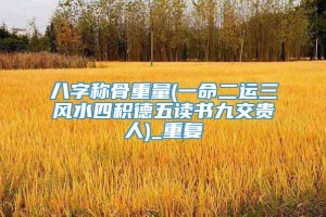 八字称骨重量(一命二运三风水四积德五读书九交贵人)_重复