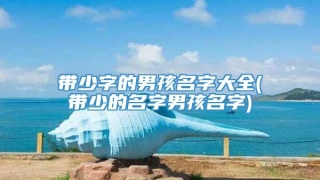 带少字的男孩名字大全(带少的名字男孩名字)