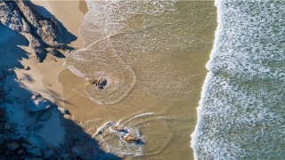 步履稳健的意思(步履坚实的意思)