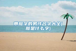 带履字的男孩名字大全(履是什么字)