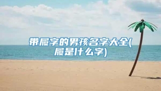 带履字的男孩名字大全(履是什么字)