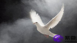 甲子海中金和丙寅炉中火相配吗(乙丑海中金和丙寅炉中火)