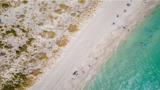 常见宠物狗的名称及图片(宠爱狗狗名字)