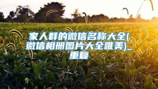 家人群的微信名称大全(微信相册图片大全唯美)_重复