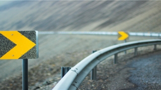 带树字简单易记好名字(树字的含义)