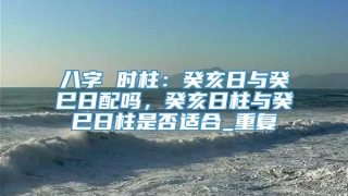 八字 时柱：癸亥日与癸巳日配吗，癸亥日柱与癸巳日柱是否适合_重复