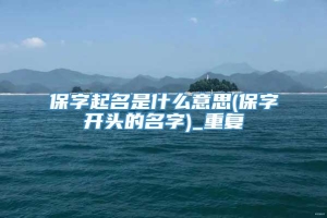 保字起名是什么意思(保字开头的名字)_重复