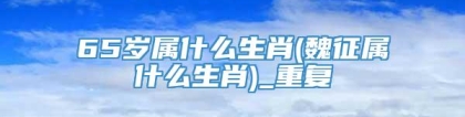 65岁属什么生肖(魏征属什么生肖)_重复