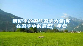 带仰字的男孩名字大全(仰在名字中的意思)_重复