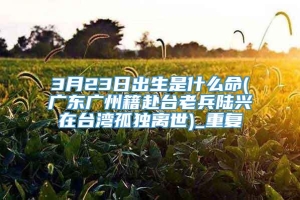 3月23日出生是什么命(广东广州籍赴台老兵陆兴在台湾孤独离世)_重复