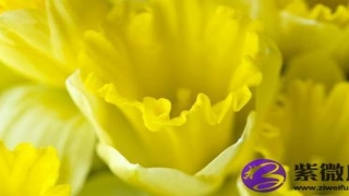 纳音水命是什么意思(大海水和大林木命相合吗)