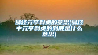 易经元亨利贞的意思(易经中元亨利贞的到底是什么意思)