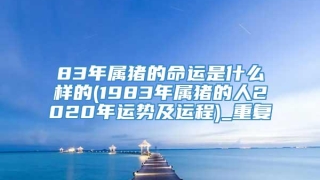 83年属猪的命运是什么样的(1983年属猪的人2020年运势及运程)_重复