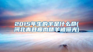 2015年生的羊是什么命(河北青县瘦肉精羊被曝光)