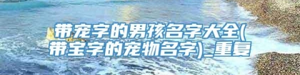 带宠字的男孩名字大全(带宝字的宠物名字)_重复