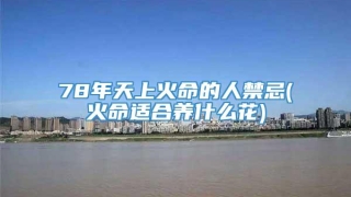 78年天上火命的人禁忌(火命适合养什么花)