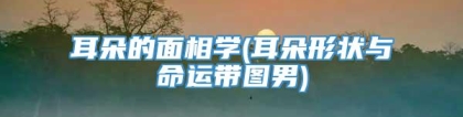 耳朵的面相学(耳朵形状与命运带图男)