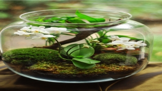 85属牛男的婚姻与命运(2022羽毛球拍推荐)