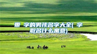 带珺字的男孩名字大全(珺字取名什么寓意)