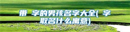 带珺字的男孩名字大全(珺字取名什么寓意)