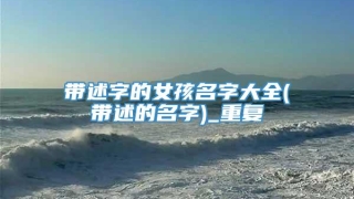 带述字的女孩名字大全(带述的名字)_重复