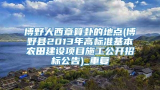 博野大西章算卦的地点(博野县2013年高标准基本农田建设项目施工公开招标公告)_重复
