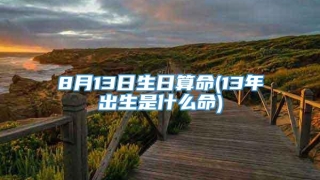 8月13日生日算命(13年出生是什么命)