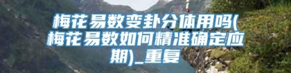 梅花易数变卦分体用吗(梅花易数如何精准确定应期)_重复