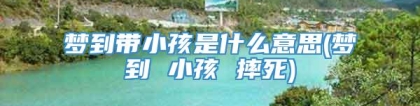 梦到带小孩是什么意思(梦到 小孩 摔死)