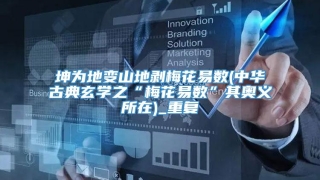 坤为地变山地剥梅花易数(中华古典玄学之“梅花易数”其奥义所在)_重复