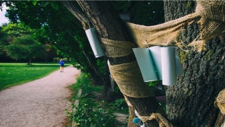 经常梦见前男友但早就不联系了(梦到男朋友前任怎么回事)