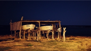 71年属猪的命中再婚(山东女婿汤镇业)_重复