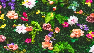 霸气的传奇游戏名字男(传奇游戏角色名字大全霸气的)